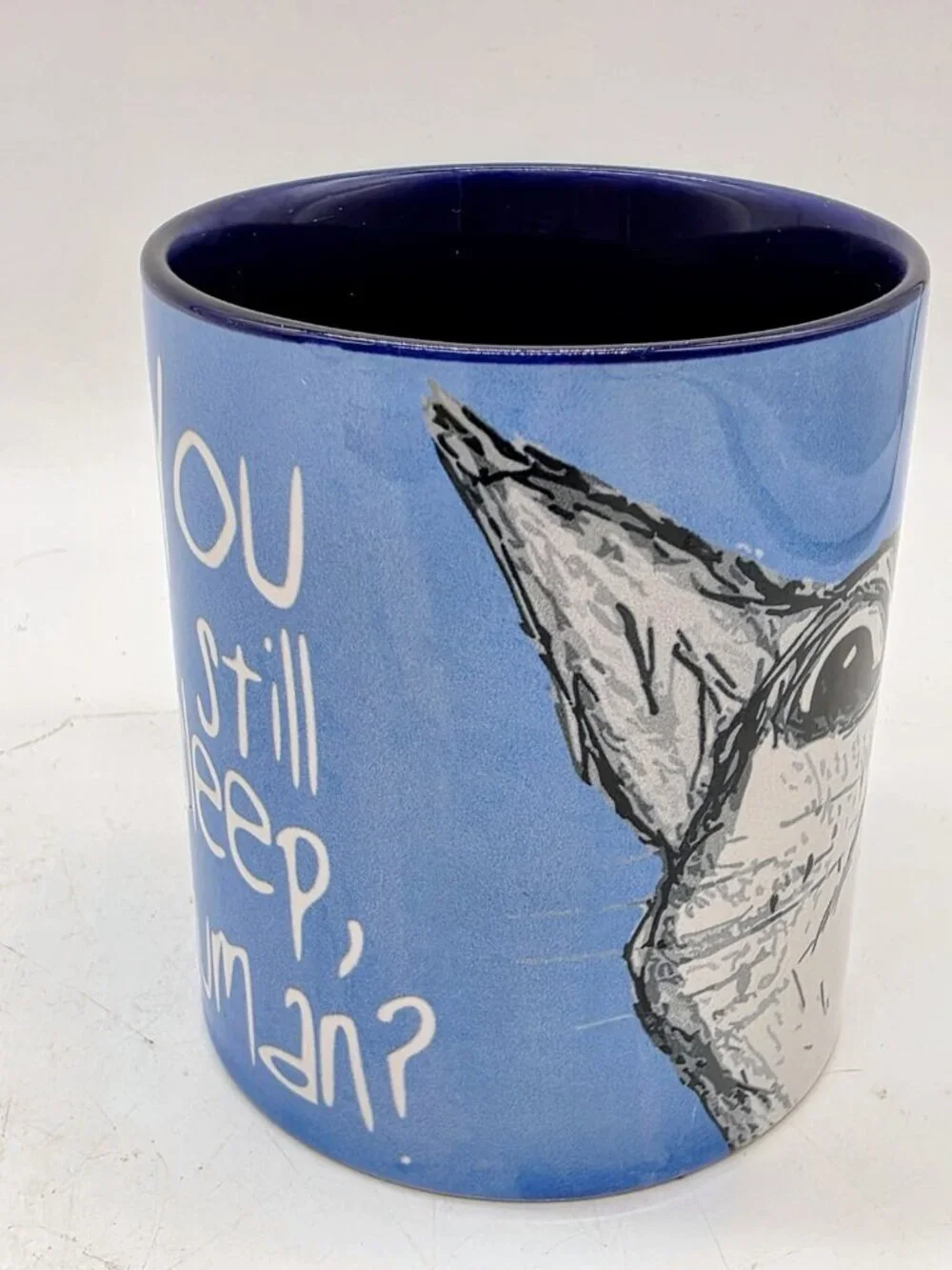 Cat Humor You Still Asleep Human? Coffee Cup Mug By Pithitude Microwave Safe